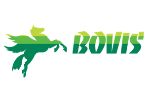 Bovis logo